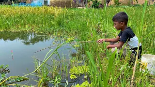 Fishing Video 😯| The fun of fishing with a hook in the village canal is different 🐠 Best rod fishing