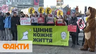 В Днепре зоозащитники протестуют против цирка братьев Гертнер