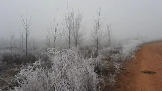 Cencellada en Velilla de los Oteros (León)