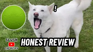 An Honest Jolly Pets Soccer Ball Review