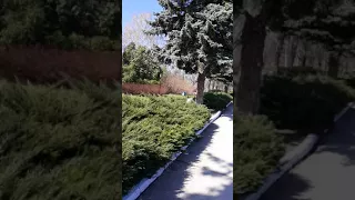 Ботанический сад Кишинев 10.04.2018 Наполняемся энергией