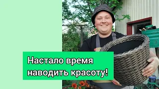 АЛИССУМ и ПЕТУНИЮ пора по бочкам!