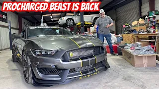 F1A Procharged GT350 makes BIG Power