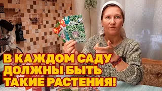 ЭТИ РАСТЕНИЯ ДЛЯ ЗДОРОВЬЯ НА КУХНЮ  ДЛЯ ЗАЩИТЫ ОТ ВРЕДИТЕЛЕЙ /ОГОРОД САД ЦВЕТНИК@obovsemsmarusya