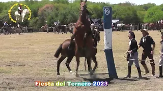 Jineteada de la Fiesta del Ternero 2023 y cartelera de espectáculos prog Nº 560  # horse videos