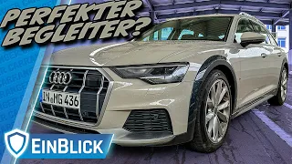 BESSER als JEDES SUV? Audi A6 Allroad 50 TDI C8 - Dieser Audi wird immer eine gute Figur machen!