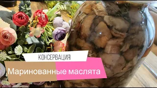 Маринуем маслята. Как это сделать легко и просто!