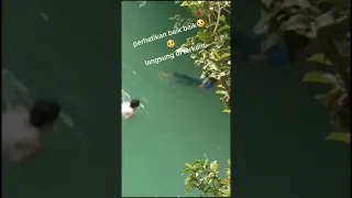 Detik detik orang di terkam buaya😦