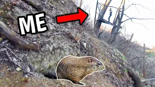 Bow Hunting Groundhogs from a Treehouse! (catch and cook)