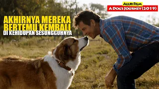 Sahabat Sejati Yang Bertemu Kembali Di Ujung Usia | Alur Cerita Film A Dog's Journey (2019)
