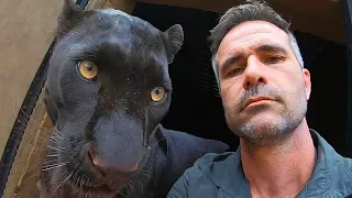 How To Move A Leopard | The Lion Whisperer