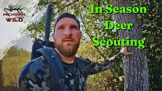 The Process | In Season Deer Scouting