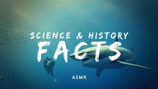 ASMR | Science Facts (and Opinions) to help Sleep or Study