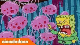 Губка Боб Квадратные Штаны | Вечеринка медуз | Nickelodeon Россия