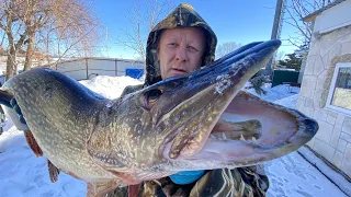 Как засолить красную рыбу и икру 🐟 бутерброд с икрой🔴филе красной рыбы