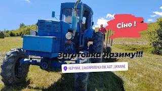 Заготовка СІНА!🤳📽️🌾🌄🐮