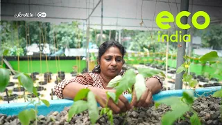 Eco India: Can aquaponics be the answer to poison-free fish and vegetables?