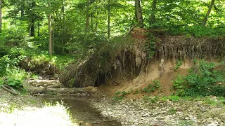 Трускавець 2022: річка Слониця в Трускавці, джунглі, водоспад