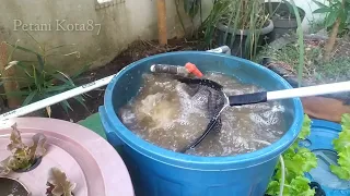 DIY : How to build simple RAS system for catfish ponds using bucket || Aquaponic system (Part 3)