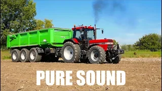 CASE IH 1455  The noise of Neuss - Pure Sound  | Carting Potatoes | Farm Frites / Wouter vd Berg