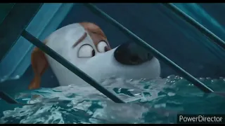 the secret life of pets: gasping and breaths in slow motion