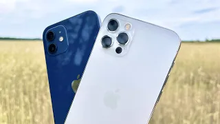 iPhone 12 vs 12 Pro - подробное сравнение