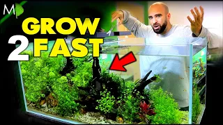 My Plants Grow Too Fast!! …Here's Why | MD Fish Tanks