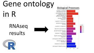 RNAseq analysis | Gene ontology (GO) in R