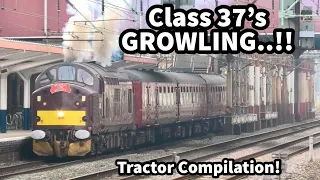 Class 37's GROWLING..!! Tractor Compilation - Light Engines, Convoy & Railtours!