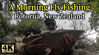 A Morning Fly fishing - Rotorua, NZ in 4K