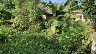 CLEAN UP the abandoned house and the overgrown garden for the MOST WONDERFUL TRANSFORMATION