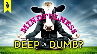 MINDFULNESS: Is It Deep or Dumb? – Wisecrack Edition