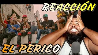 Rochy RD - EL PERICO 🦜 x El Mega X Mandrake | Video Oficial (REACCION)