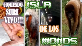 RECORRIENDO la isla de los MONOS 🐒"" en IQUITOS