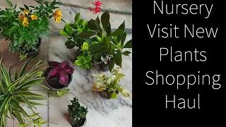 Nursary Visit & New Plants Shopping || Best Hardy Indoor Plants || Summer Flowering Plants Shopping