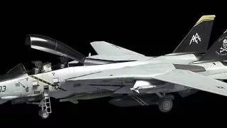 Grumman F-14 Tomcat in 3D