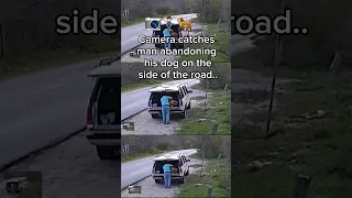 Camera Catches Man Abandoning Dog..😳🫢