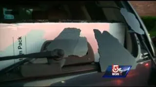 Windows of 50+ cars damaged by BBs