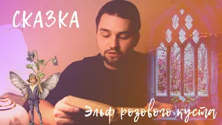 СКАЗКА НА НОЧЬ | ЭЛЬФ РОЗОВОГО КУСТА | АНДЕРСЕН Х. К. | Грустная сказка о любви.