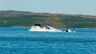 Красивое всплытие русской подлодки Russian submarine surfacing