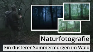 Naturfotografie: Düsterer SOMMERNEBEL im WALD inkl. Gedanken zu den Fotos