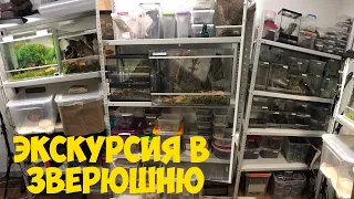 Экскурсия в зверюшню. Кто у меня живет?