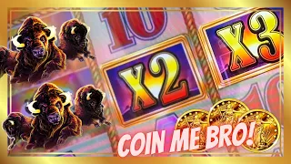 🪙 Coin Me Bro! Big Bonuses on Buffalo Gold Slot! Live Slot Play