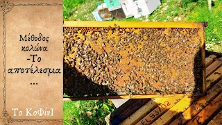 Πάτωμα με τη μέθοδο κολώνα - Το αποτέλεσμα 10 ημέρες μετά | Μελισσοκομία 2024 | Το ΚοΦίνΙ