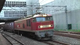 EF510レッドサンダーけん引貨物列車　京都駅にて2010.10.5