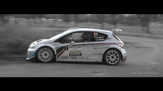 "Best of Rally 2014" by MGRallyVideos [HD]