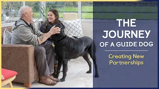 Creating New Partnerships | Episode 7 | The Journey of a Guide Dog