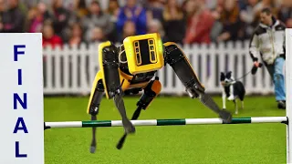 I Won A Dog Competition With A Robot Dog