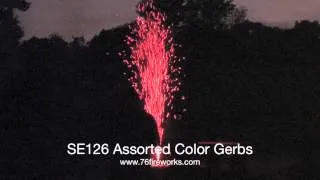 SE126 Assorted Color Gerbs