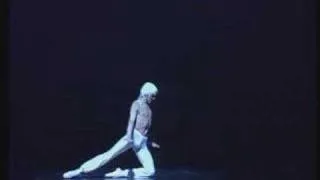 Валерий Михайловский "Лебедь"/Valery Mikhailovsky - Dying Swan